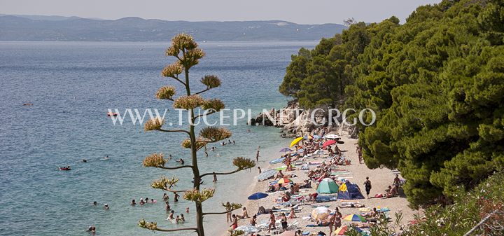 beach at hotel Jadran in Tučepi