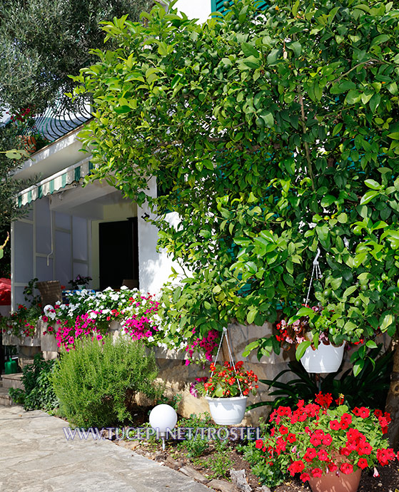 Apartments Trostel, Tučepi - flowers all around